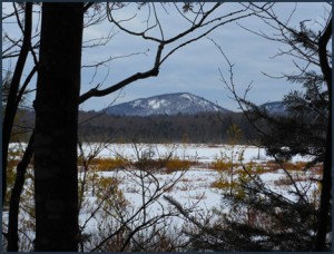 How the Heron Marsh looks when snowcovered (photo courtesy From Empty Hands Blog)