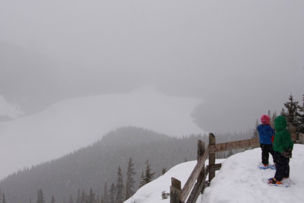 kids looking out at viewpoint at Peyto Lake in winter with clouds and snow in background