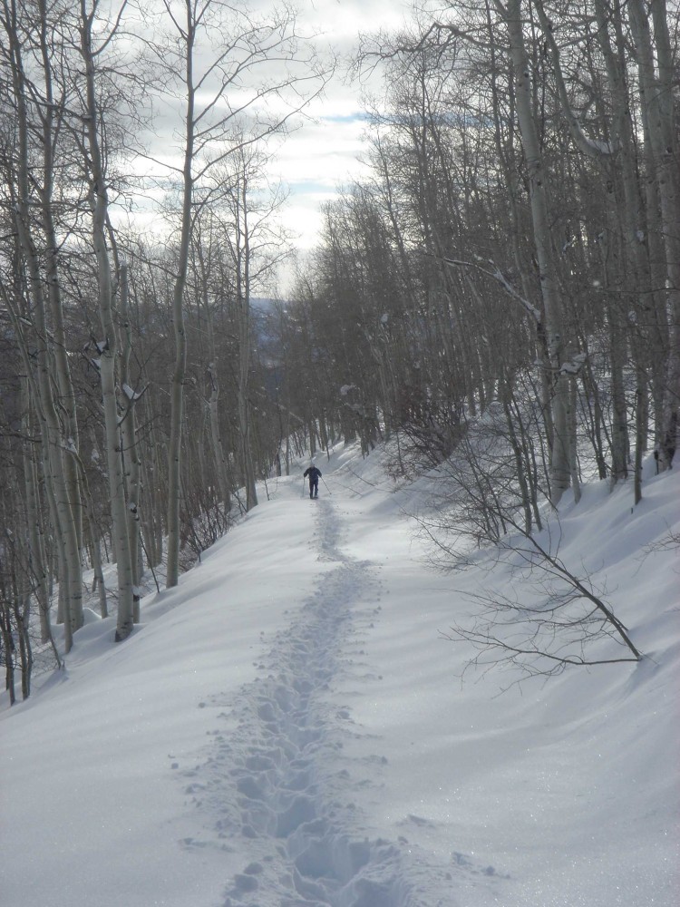 man snowshoeing between trees in Uinta Mountains Utah