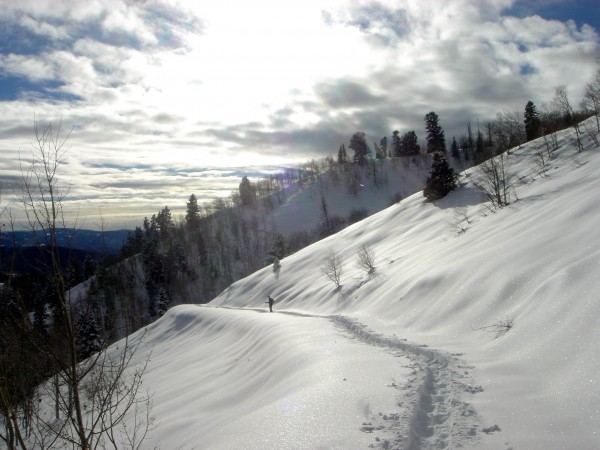 snowshoe trail with sun shining overhead in Uinta Mountains