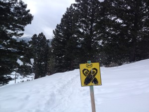 snowshoetrailbyMCH