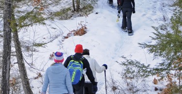 group of snowshoers snowshoeing up a hill