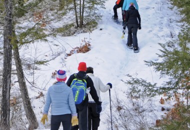 group of snowshoers snowshoeing up a hill