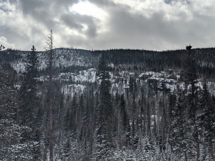 trees in snowy mountains below cloudy sky