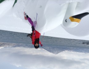 Riding the Wild Winter Swan