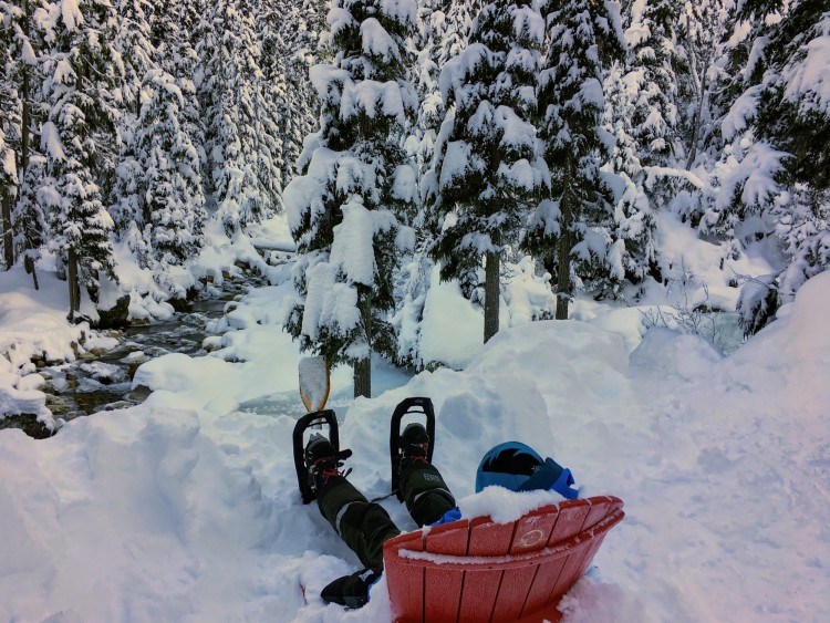 child sitting on a hill looking at a river on a chair in the snow