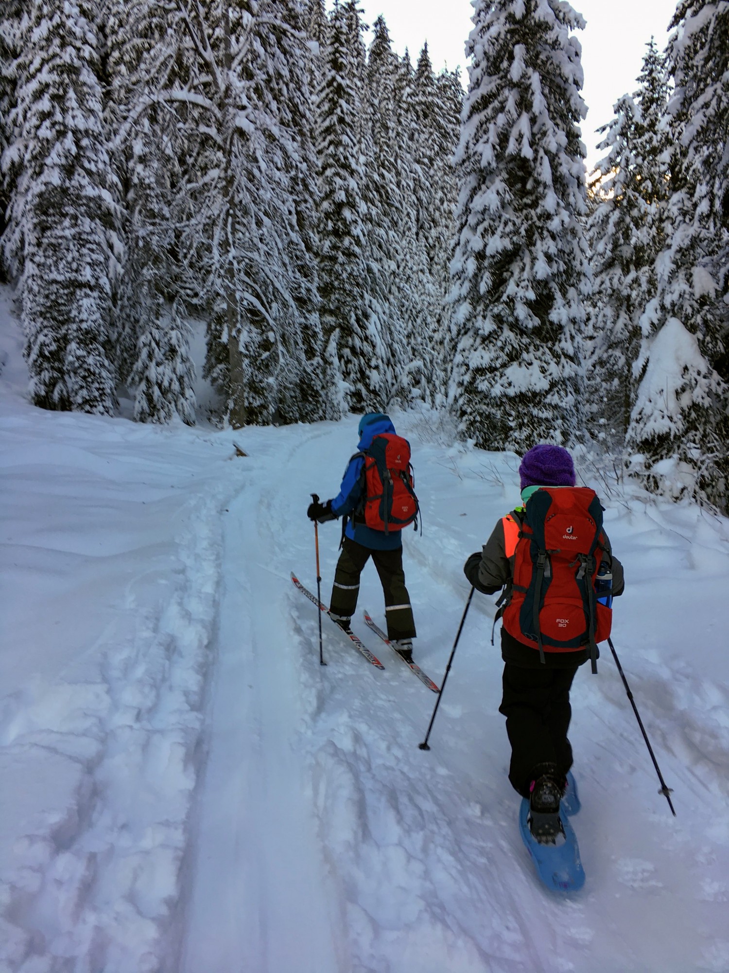 two people cross country skiing to explore