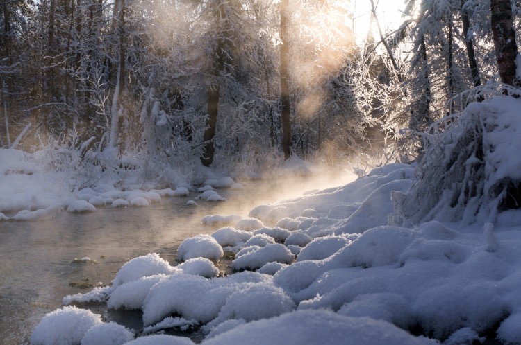 snowshoe trails Anchorage: steam rising from snowy hot springs in Russian Jack Spring Park in Anchorage