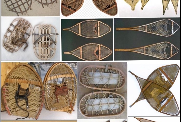 compilation of traditional snowshoe varieties