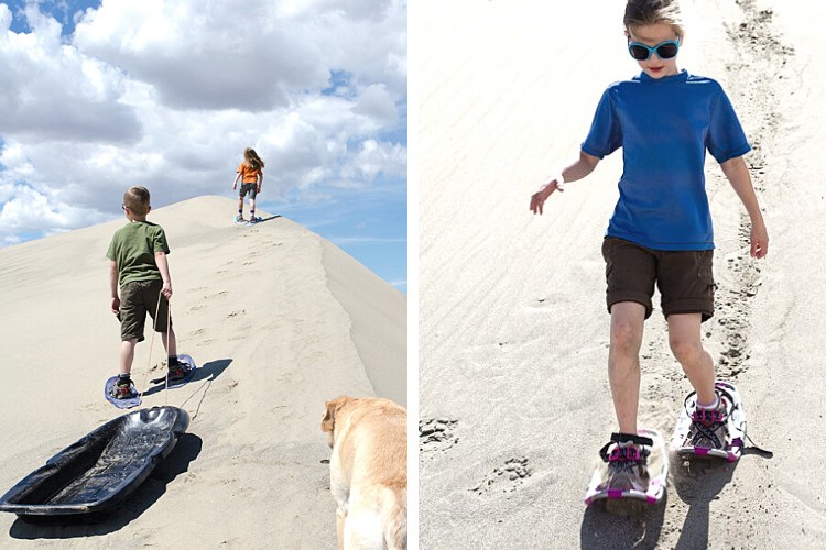 L: kids on snowshoes on sand with sled and dog R: child walking down sand dune on snowshoes