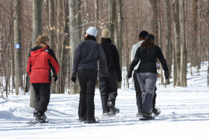 A group of snowshoers sets out into the woods.