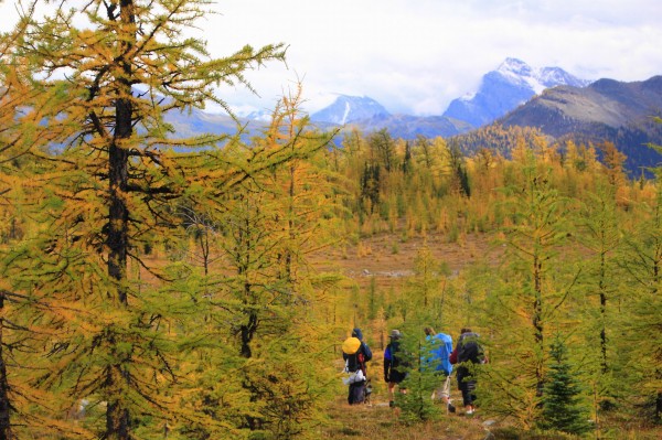 Fall hiking at Gibbon Pass