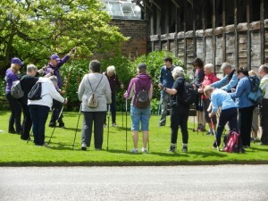 Group instruction at the Seville Nordic Walking Festival, courtesy of http://www.nordicwalking.co.uk/blog/