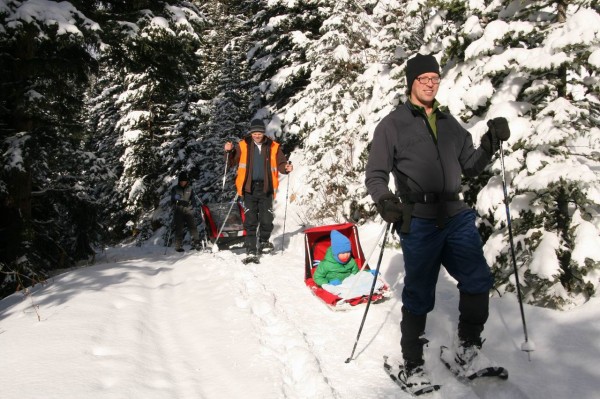 Sleds in the backcountry