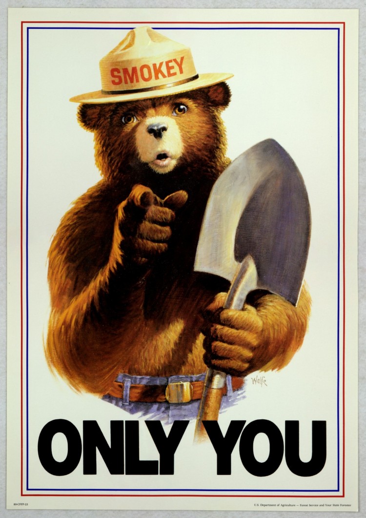 Smokey the bear poster