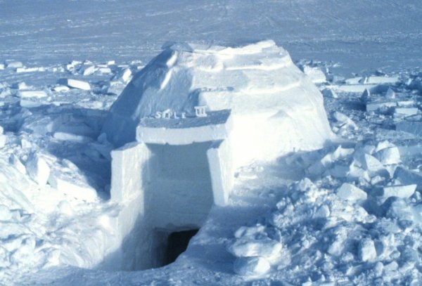 Snow Shelter