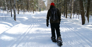 SnowShoe1