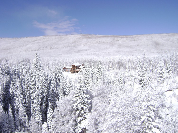 cabin in Colorado wilderness surrounded by snowy trees