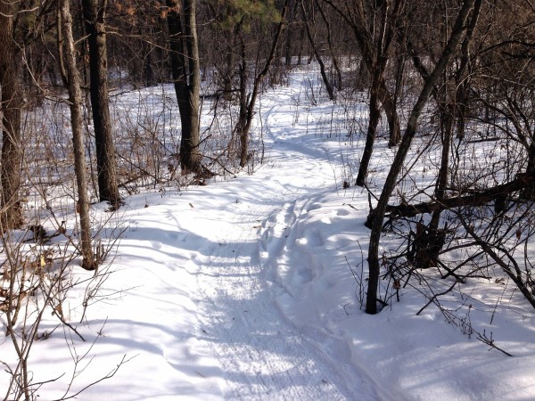 Current photo of the Lowe's Park race course in Eau Claire, Wisconsin