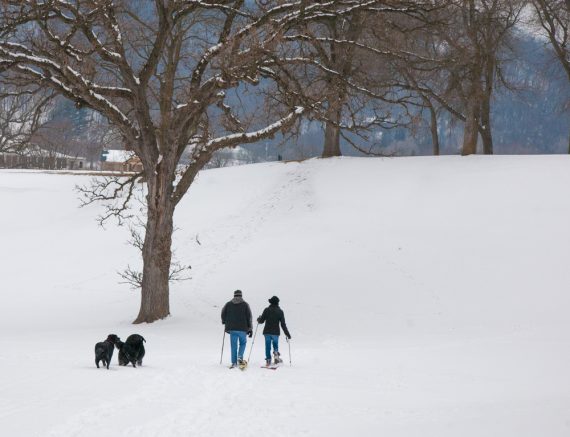 Great River Bluffs State Park, MN- Visit Winona