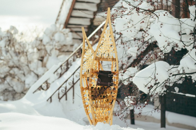 11x56 Ojibwa snowshoes in winter landscape