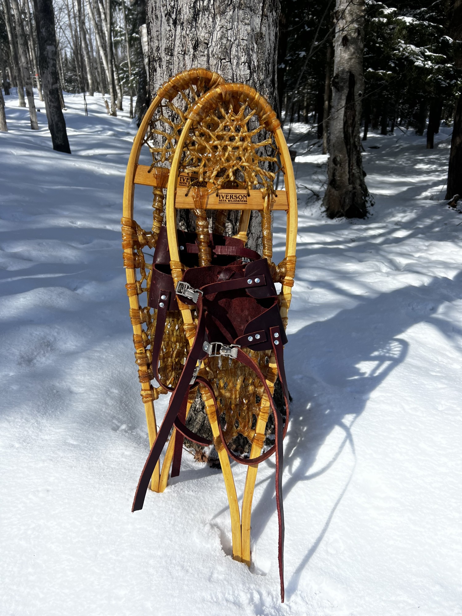 Michigan/Huron snowshoes resting on a tree in a snowy landscape
