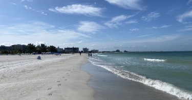 snowshoe tracks in sand on beach near the water