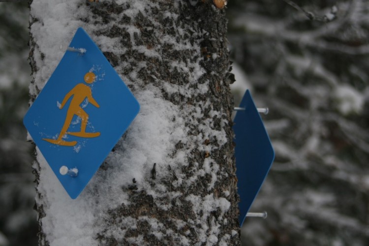 reflective snowshoe signs