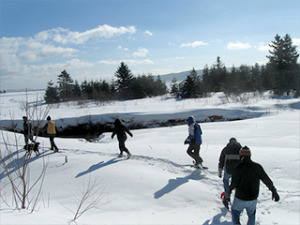 Snowshoeing_2