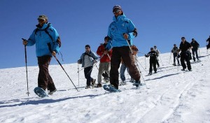 Snowshoeing