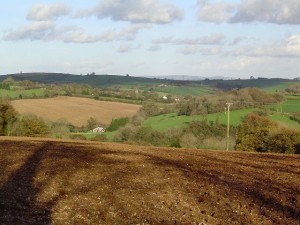 South Hams view