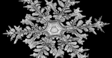 close up image of a snowflake