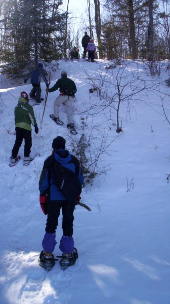 group of snowshoers ascending a hill