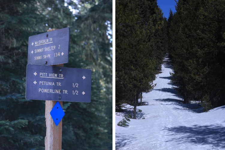 side by side L: trail sign with trees in background R: snow trail with trees surrounding 
