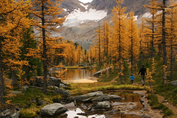 Hiking at Lake O'Hara in September