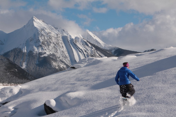 This outing definitely required snowshoes