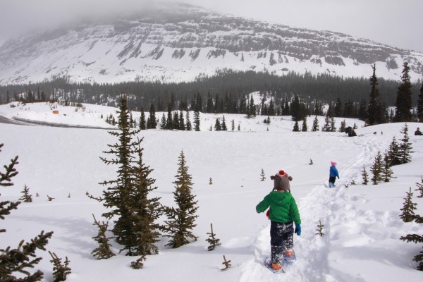 kids snowshoeing on trail near Icefields Parkway with mountains in background