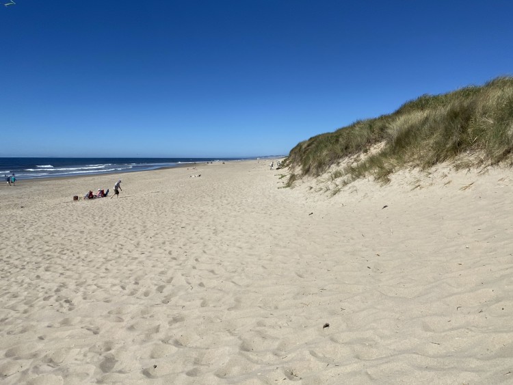 Oregon Dunes