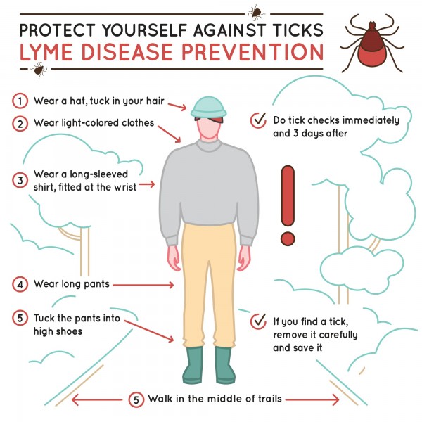 infographic of tick safety tips
