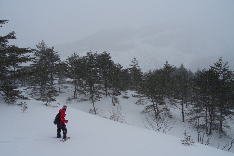 snowshoeing towards Yellow Falls in Urabandai