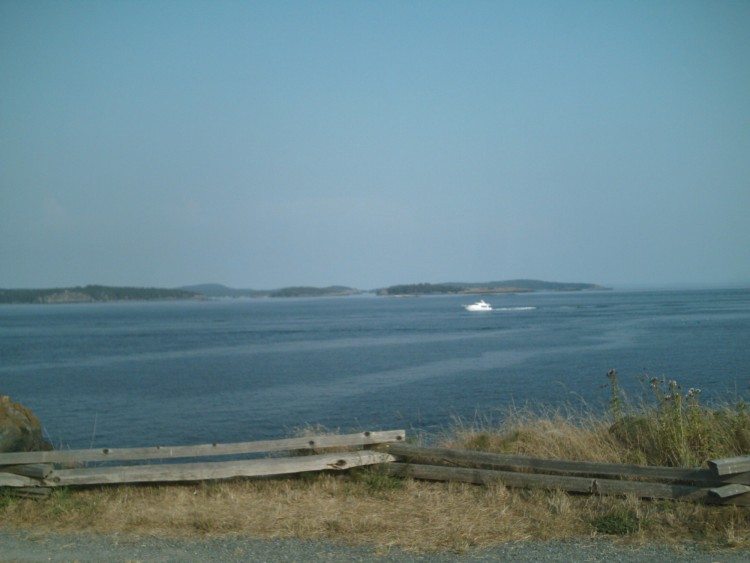 San Juan Island: whale in the distance with fence in foreground and open sky in background