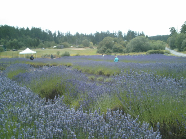 Washington State 2010 081