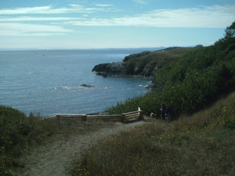 hilly grassy trail with ocean in background