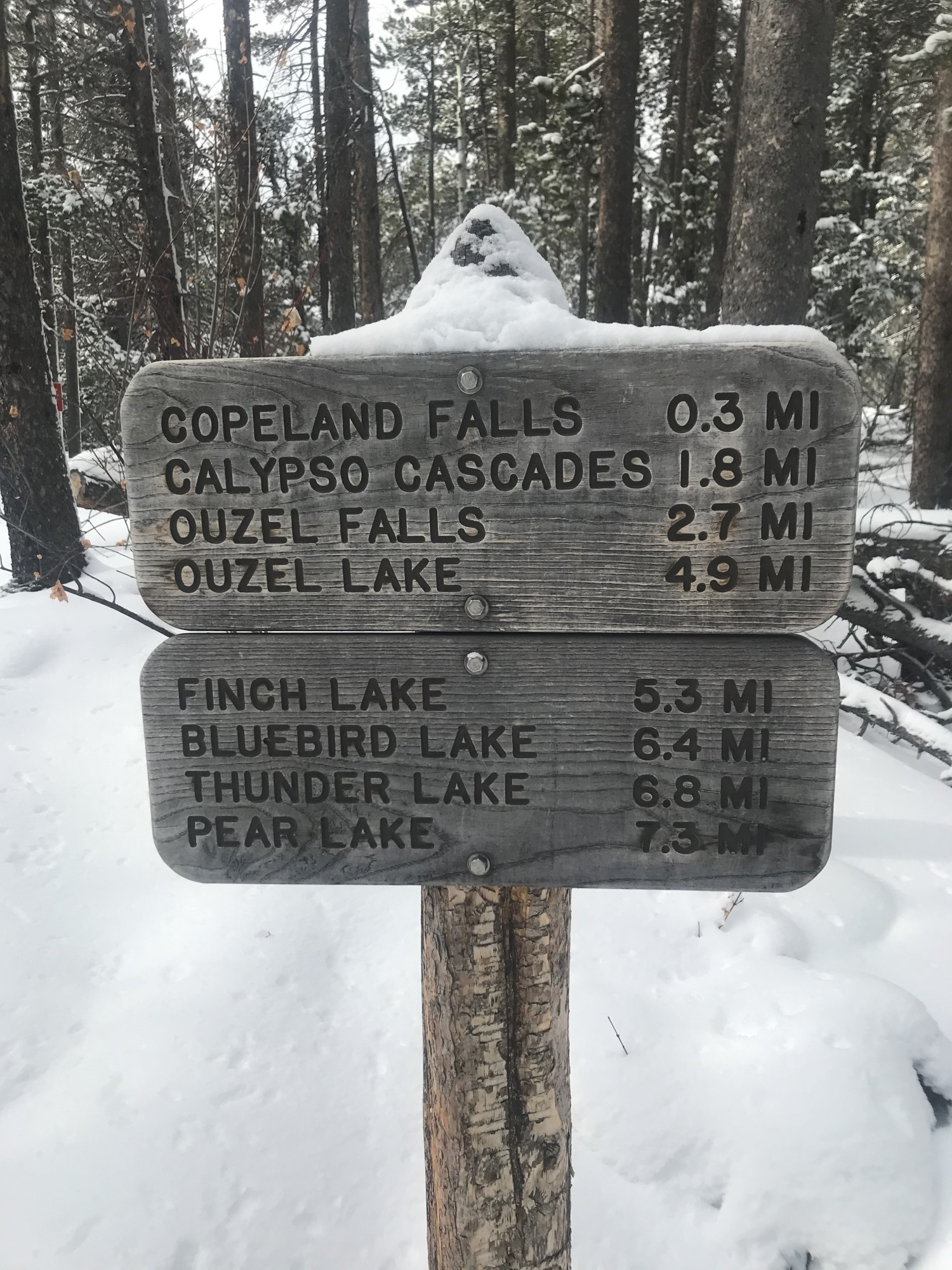 trail sign at Wild Basin