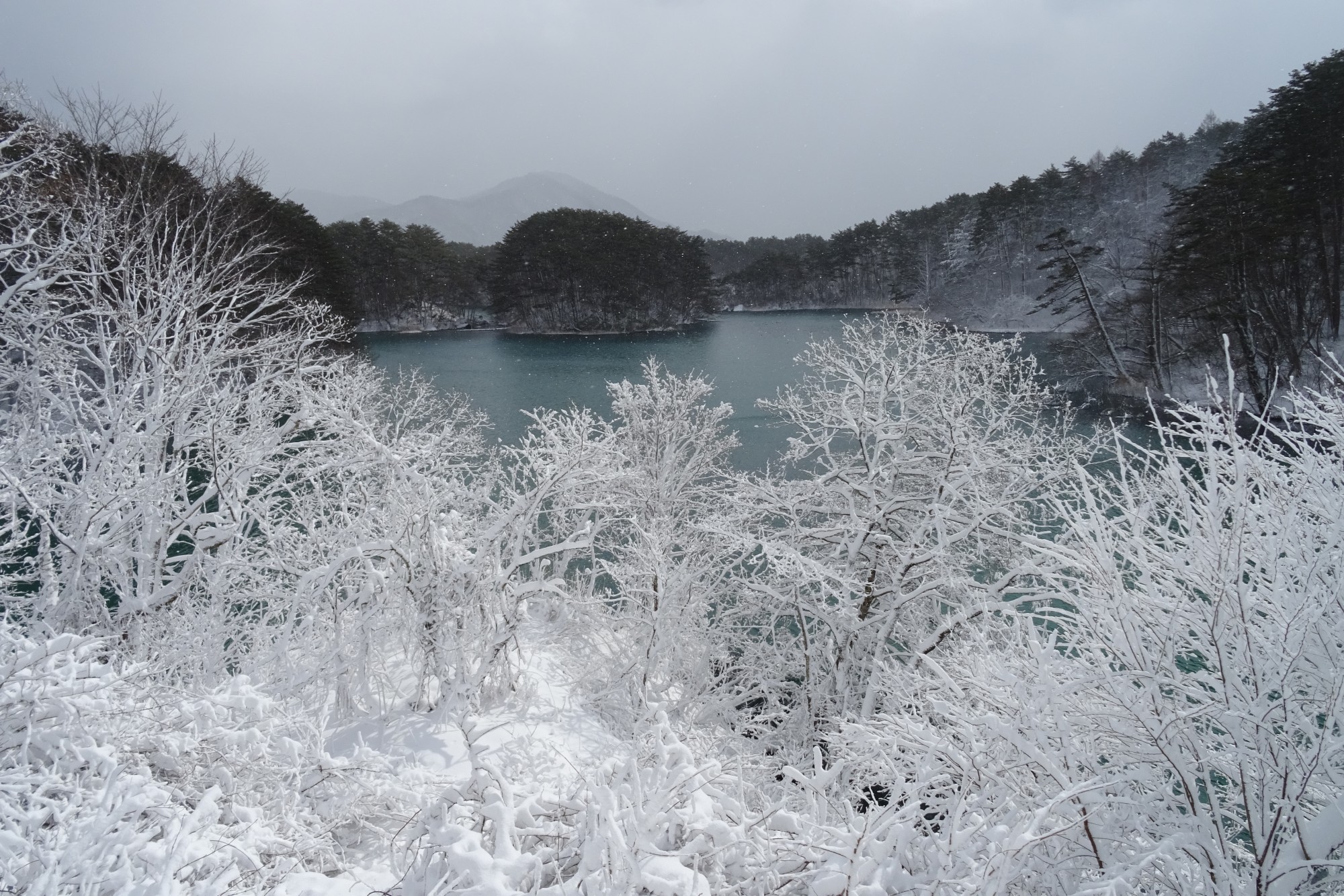 Urabandai lake in winter in with frosted over branches in front of it