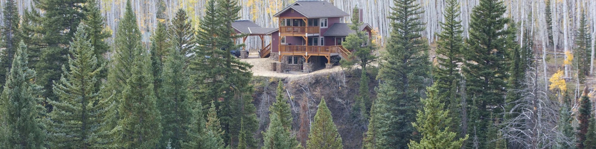 cabin surrounded by trees