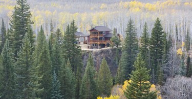 cabin surrounded by trees