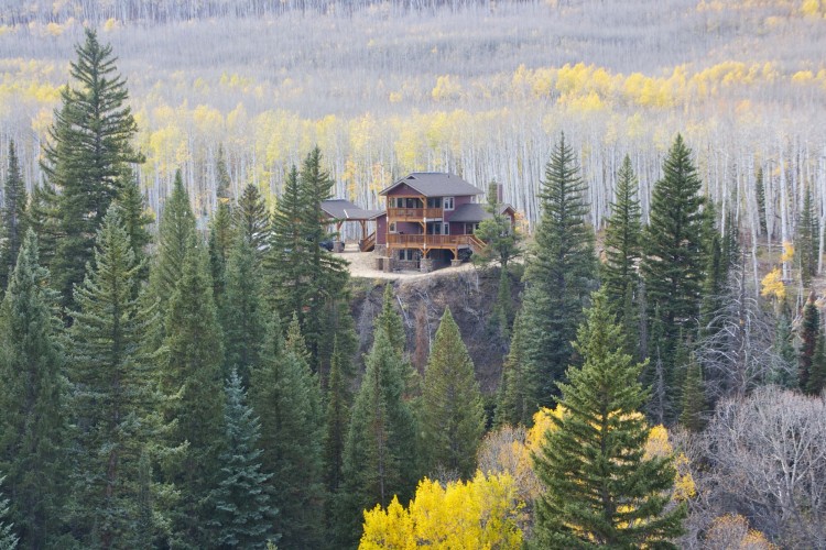 cabin surrounded by trees