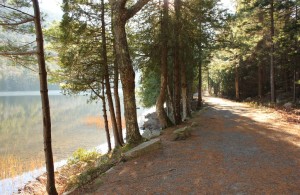 Bubble Pond in Acadia National Park, courtesy of Ms. Amy Beal Church.