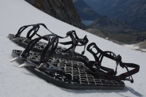 alpinesnowshoe